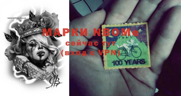 шишки Пестово